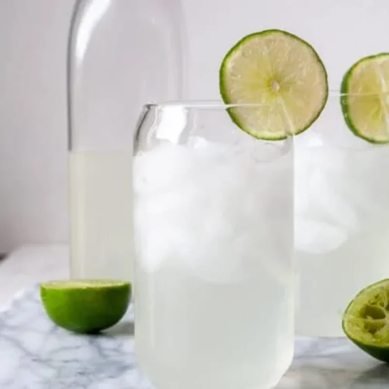 lime_juice_recipe_6-500x500